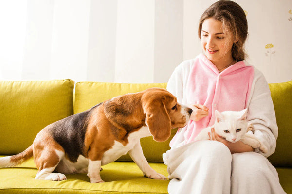 10 BENEFITS OF OWNING A PET