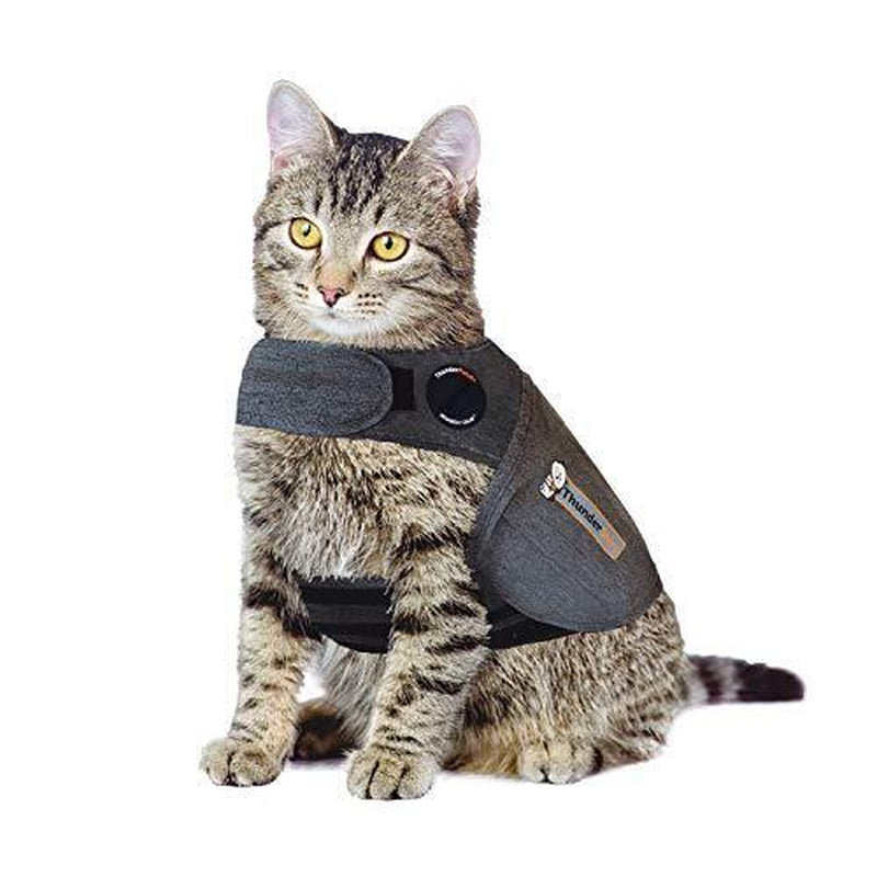 Thundershirt Classic Cat Anxiety Jacket Solid Gray Small