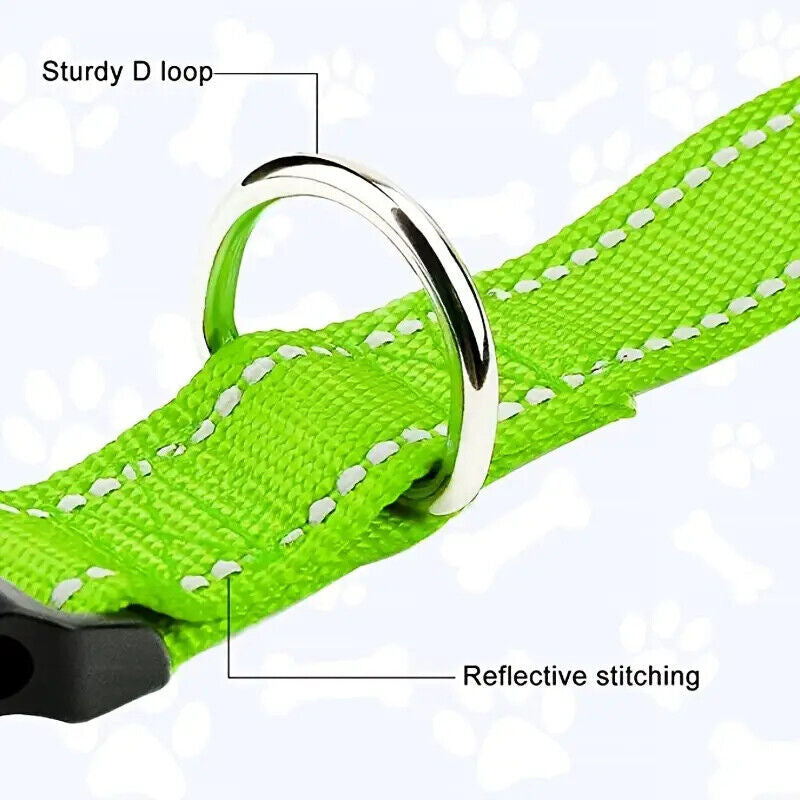 Reflective Neoprene Adjustable Padded Nylon Dog Collar in 12 Colors & 5 Sizes