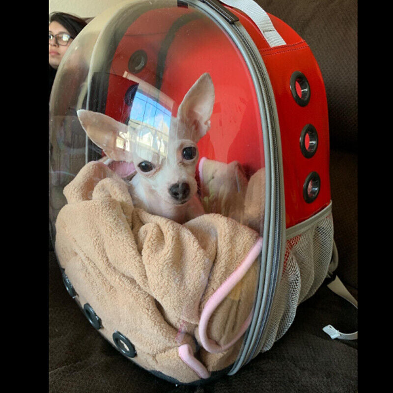 Pet Portable Carrier Backpack Space Capsule Travel Dog Cat Bag Transparent