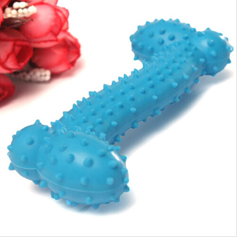 1 Pet Toys Resistant to Bite Bone Dog Molars Rubber Ball Play