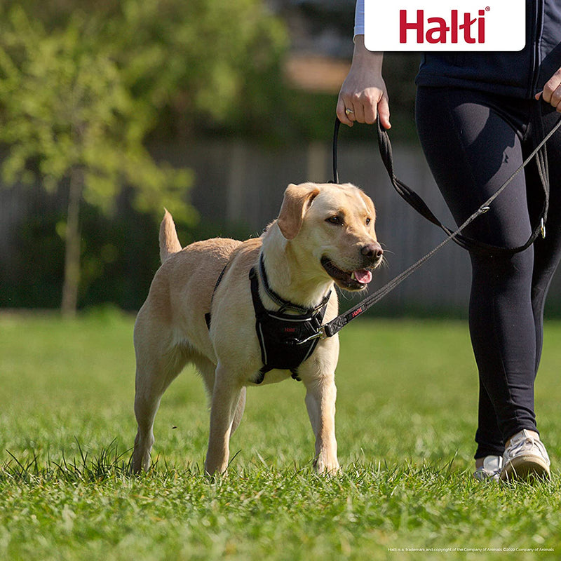 HALTI No Pull Harness Size Medium, Bestselling Professional Dog Harness to Stop Pulling on the Lead, Easy to Use, Anti-Pull Training Aid, Adjustable, Reflective and Breathable, for Medium Dogs