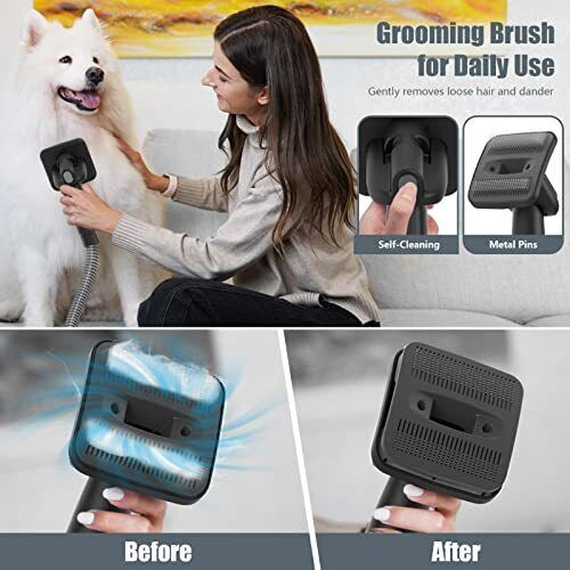 Lvittypet Dog Grooming Kit & Dog Hair Vacuum 2 in 1Low Noise Professional Pet...