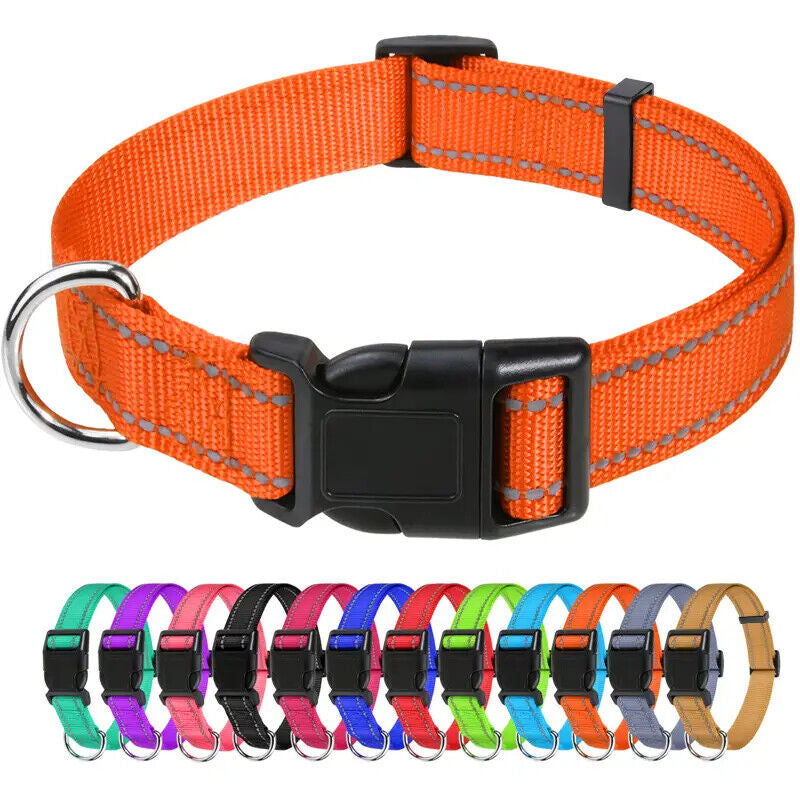 Reflective Neoprene Adjustable Padded Nylon Dog Collar in 12 Colors & 5 Sizes