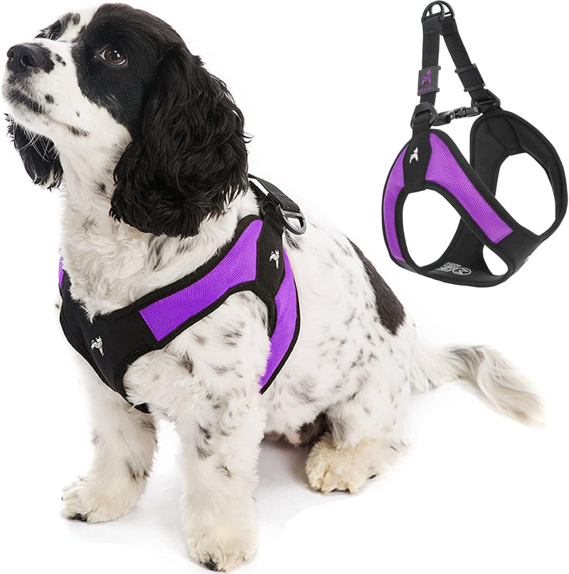 Gooby Escape Free Easy Fit Harness - Hot Pink, Small - No Pull Step-In Patented Small Dog Harness with Quick Release Buckle - Perfect on the Go No Pull Harness for Small Dogs or Medium Dog Harness