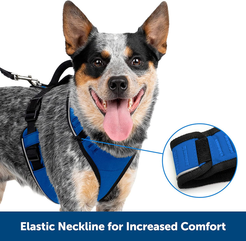 Petsafe Easysport Harness, Adjustable Padded Dog Harness with Control Handle and Reflective Piping, from the Makers of the Easy Walk Harness Orange Medium
