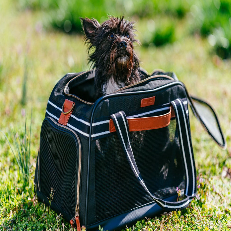 Vibrant Life Small Pet Travel Carrier, Black and Tan, 17" X 10.5" X 11"