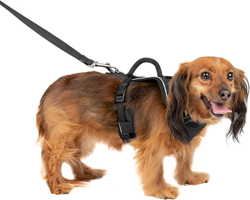 Petsafe Easysport Harness, Adjustable Padded Dog Harness with Control Handle and Reflective Piping, from the Makers of the Easy Walk Harness Orange Medium