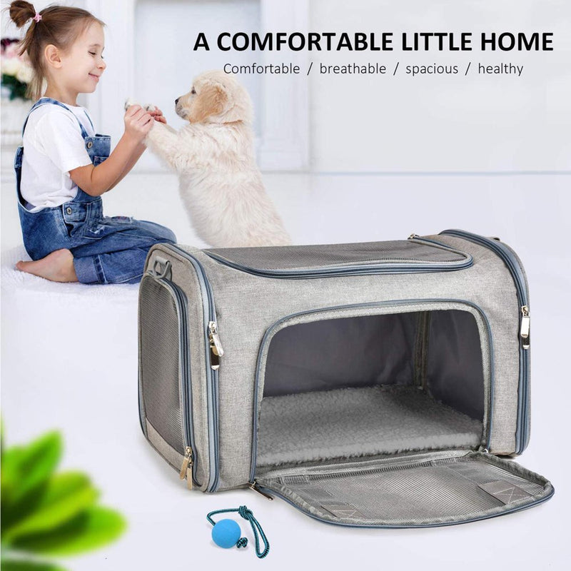 Pet Carrier for Cats, Dogs and Puppies, Gray, (Suitable for Daily Travel), 22 Lbs