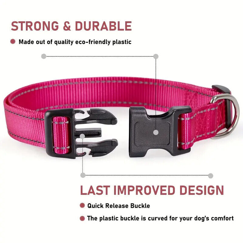 Reflective Neoprene Adjustable Padded Nylon Dog Collar in 12 Colors & 5 Sizes