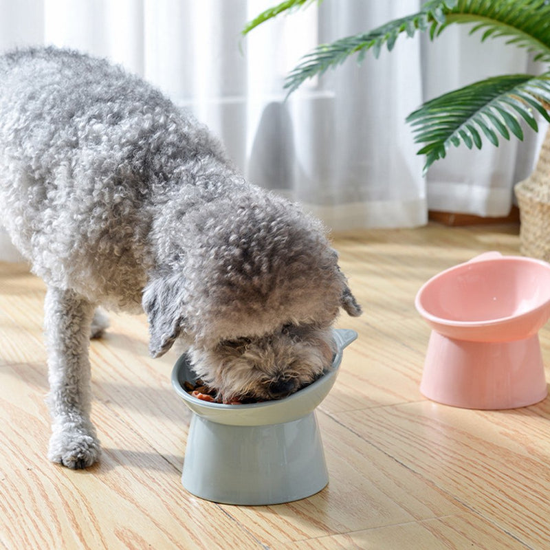 Cat Elevated Bowls 45° Tilted Raised Dish Pet Feeding Bowl with Stand for Cats and Puppy Safe PP Material Easy to Clean