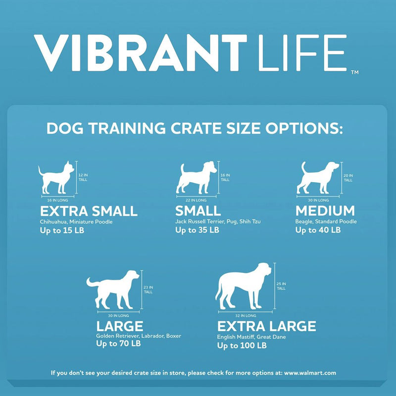 Vibrant Life Small Pet Travel Carrier, Black and Tan, 17" X 10.5" X 11"