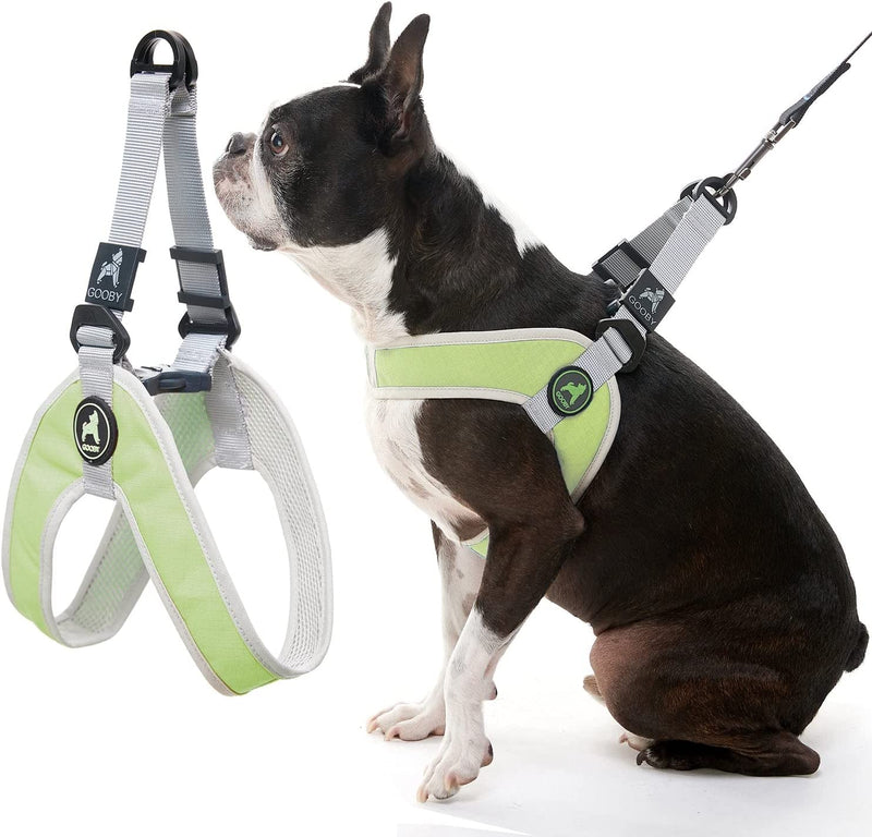 Gooby Simple Step in III Harness - Green, Medium - Small Dog Harness with Scratch Resistant Outer Vest - Soft Inner Mesh Harness for Small, Medium Dogs