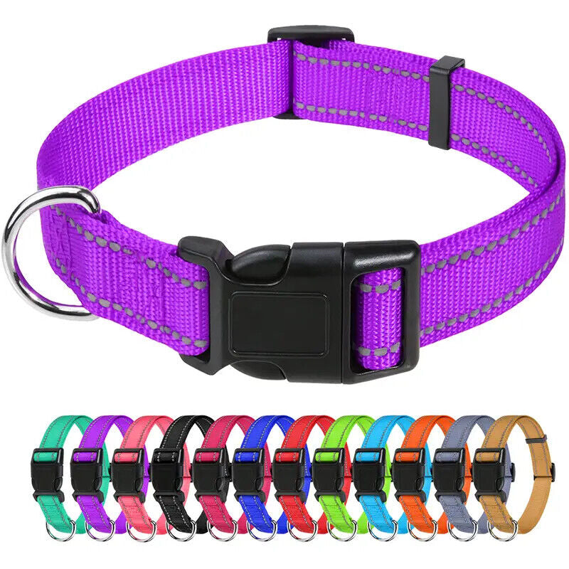 Reflective Neoprene Adjustable Padded Nylon Dog Collar in 12 Colors & 5 Sizes