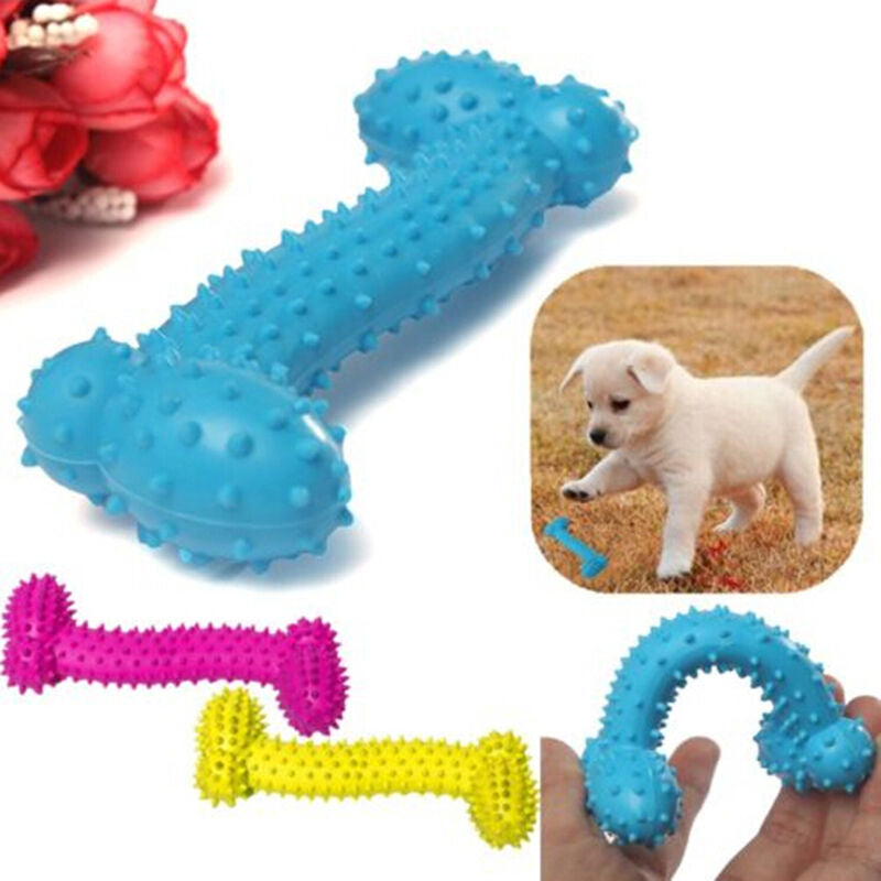 1 Pet Toys Resistant to Bite Bone Dog Molars Rubber Ball Play