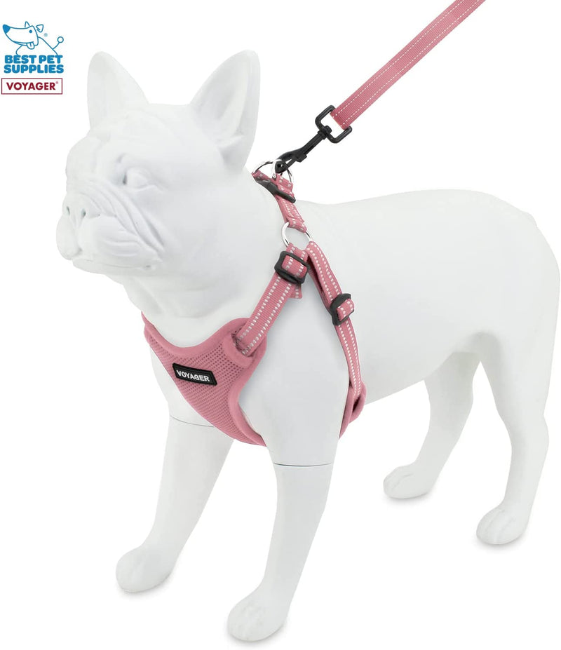 Best Pet Supplies Voyager Adjustable Dog Harness Leash Set with Reflective Stripes for Walking Heavy-Duty Full Body No Pull Vest with Leash D-Ring, Breathable All-Weather - Harness (Pink), S