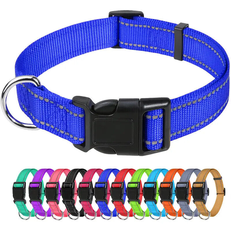 Reflective Neoprene Adjustable Padded Nylon Dog Collar in 12 Colors & 5 Sizes