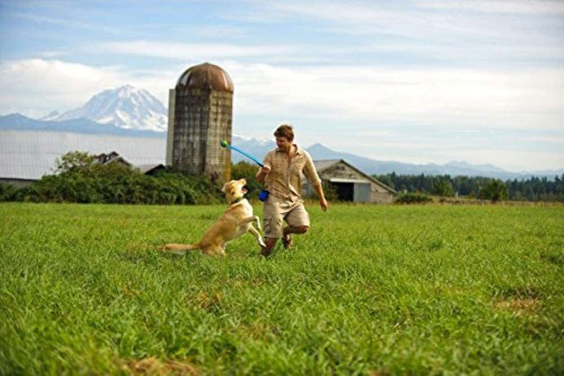 Chuckit! LARGE BALL 26-Inch LAUNCHER for 3-Inch Mega Balls Big Dog Fetch Toy