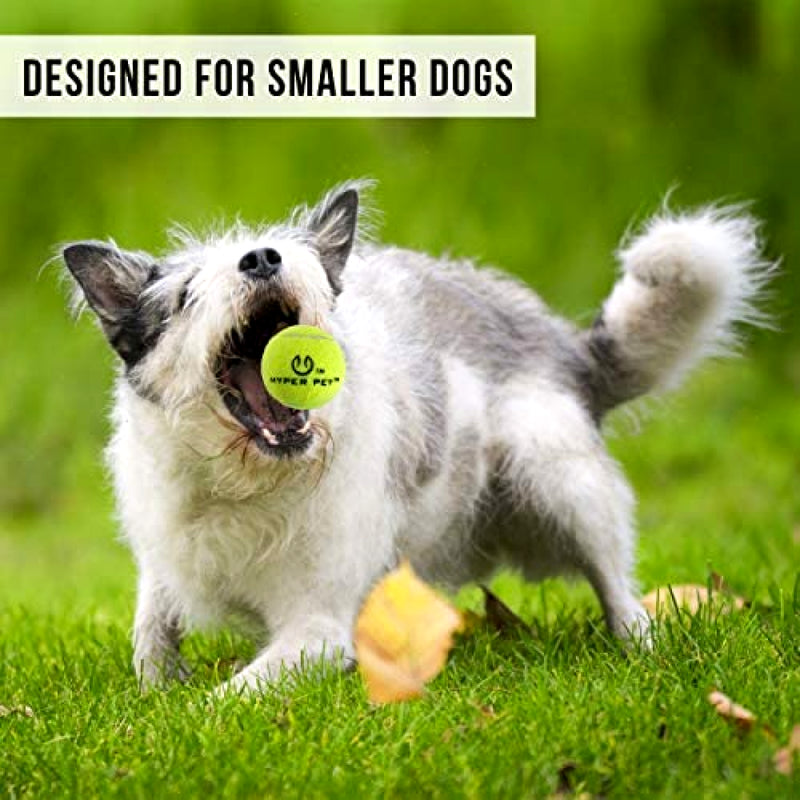 Mini Dog Ball Gun Hyper Pet K9 Kannon Ball Launcher Interactive Dog Toy Tennis