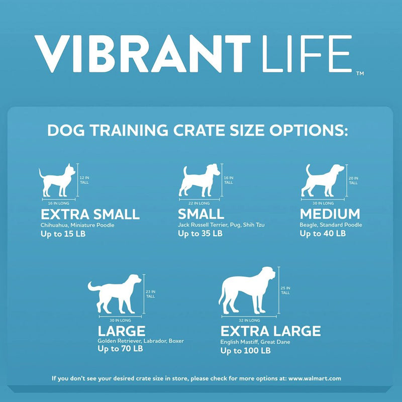 Vibrant Life Pet Kennel for Dogs, Hard-Sided Pet Carrier, Extra Small, 23In Length