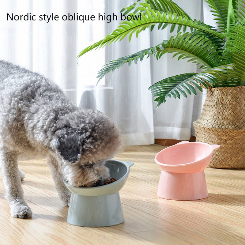 Cat Elevated Bowls 45° Tilted Raised Dish Pet Feeding Bowl with Stand for Cats and Puppy Safe PP Material Easy to Clean