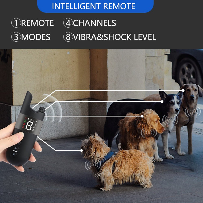 Dog Training Shock Collar for 2 Dogs, Waterproof Rechargeable Dog Shock Collar with Remote, 2000Ft 3 Modes Beep Vibrating Shock for Small Medium Large Dogs