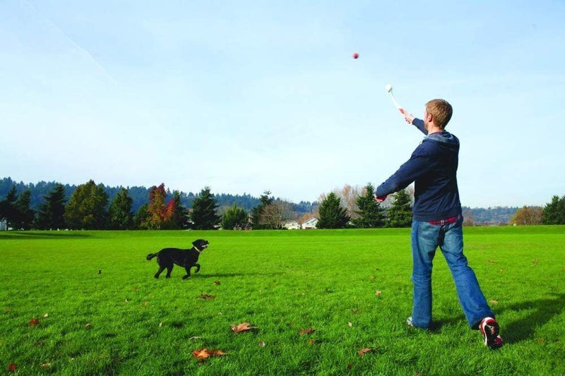 Chuckit! LARGE BALL 26-Inch LAUNCHER for 3-Inch Mega Balls Big Dog Fetch Toy