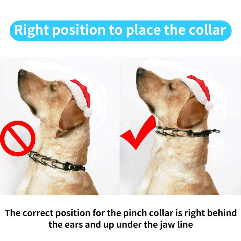 Dog Prong Collar, Dog Pinch Training Collar with Quick Release Snap Buckle and Adjustable Length for Small Medium Large Dogs S (Weight: around 35 Lbs)