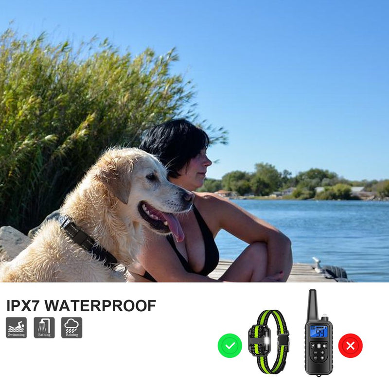 Dog Training Electric Collar 2600Ft Remote 4 Modes Light Beep Vibration Shock Waterproof