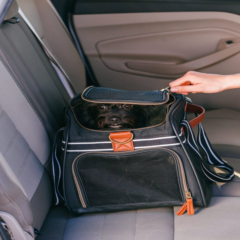 Vibrant Life Small Pet Travel Carrier, Black and Tan, 17" X 10.5" X 11"