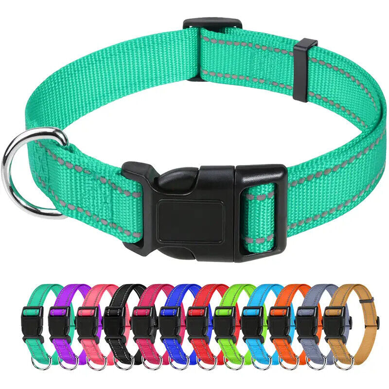 Reflective Neoprene Adjustable Padded Nylon Dog Collar in 12 Colors & 5 Sizes