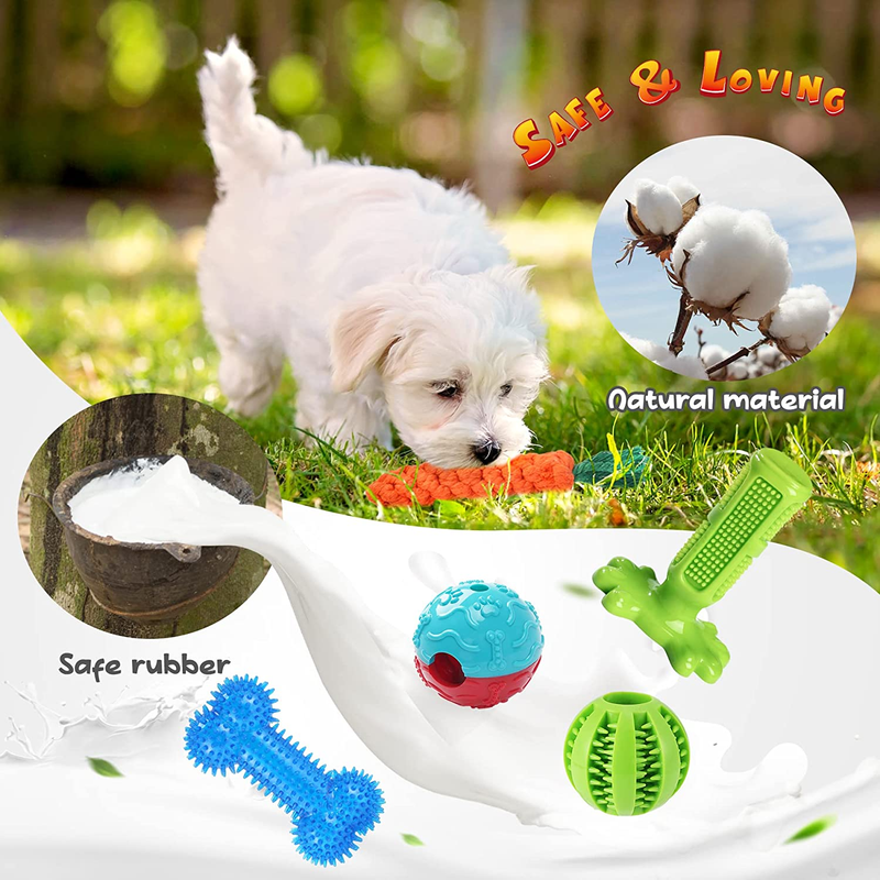 Dog Chew Toys for Puppy - 20 Pack Puppies Teething Chew Toys for Boredom, Pet Do